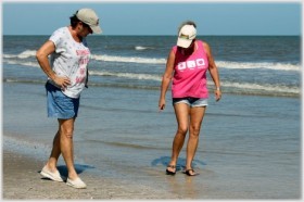 Walk the shore line to find the perfect shell or one of a kind shark tooth.