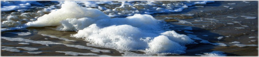 Beachcombing on Bolivar Peninsula Texas