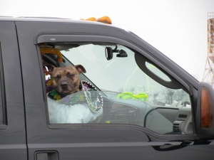 Mardi Gras Parade 2010-Crystal Beach, Texas