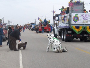 Mardi Gras Parade 2010-Crystal Beach, Texas