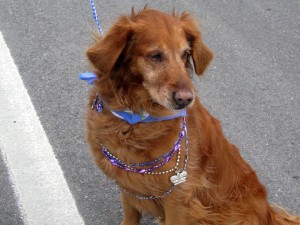 Mardi Gras Parade 2011-Crystal Beach, Texas